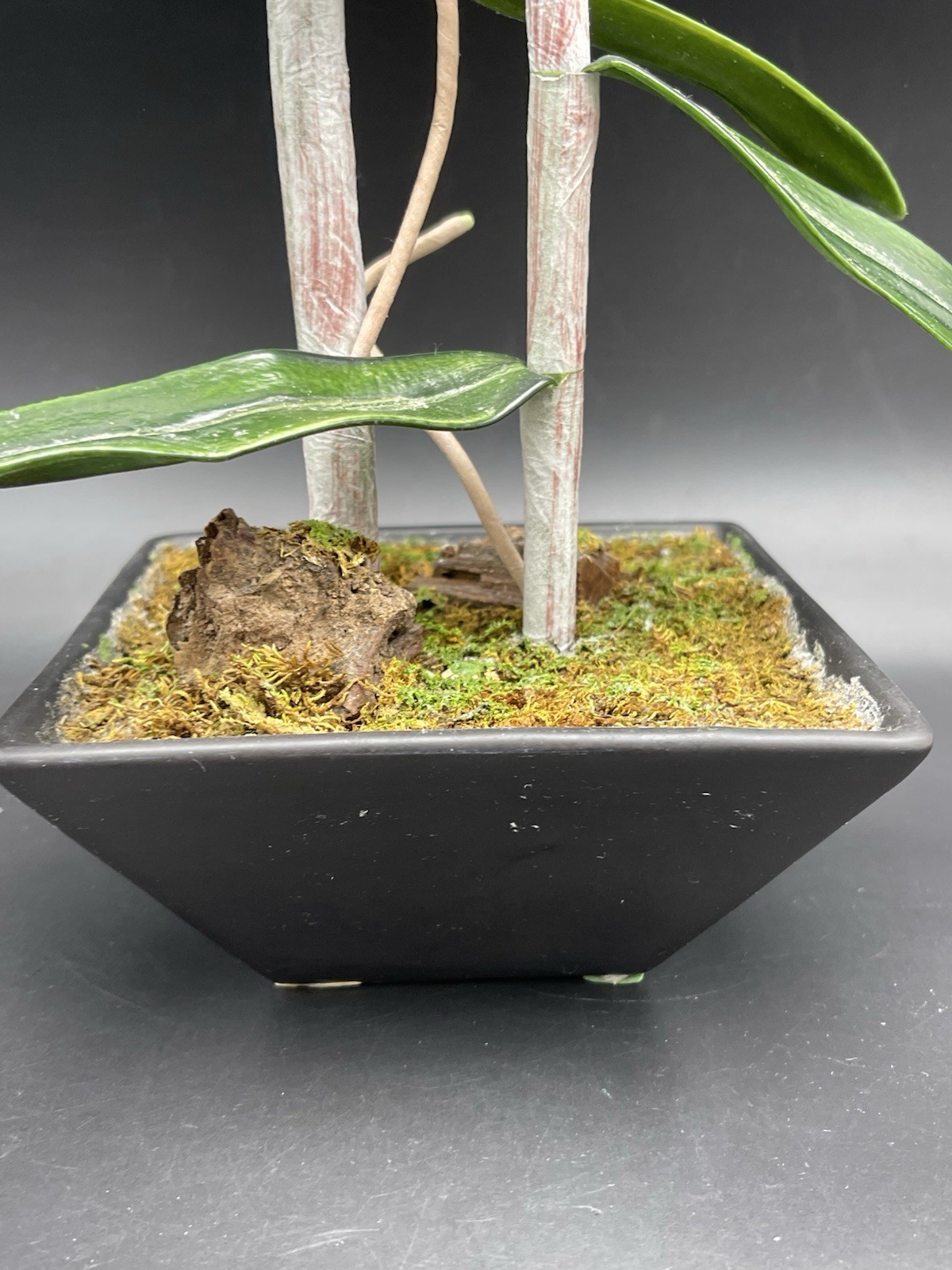 19″ Faux Orange Orchid Green Leaves Roots in Black Ceramic Pot