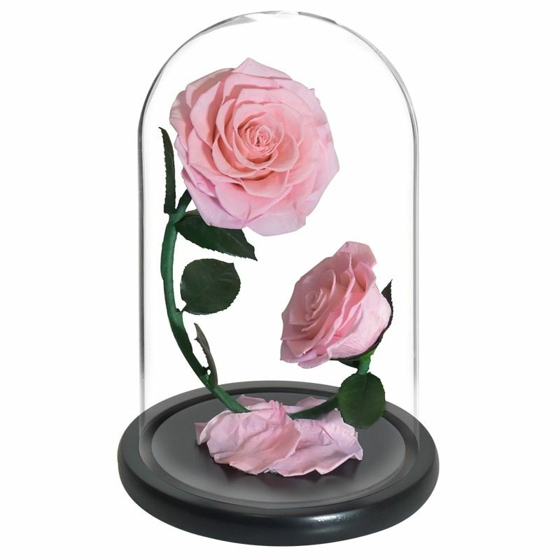 Eternal Flower Rose In Glass Valentine Birthday Wedding Gift For Surprize Womens