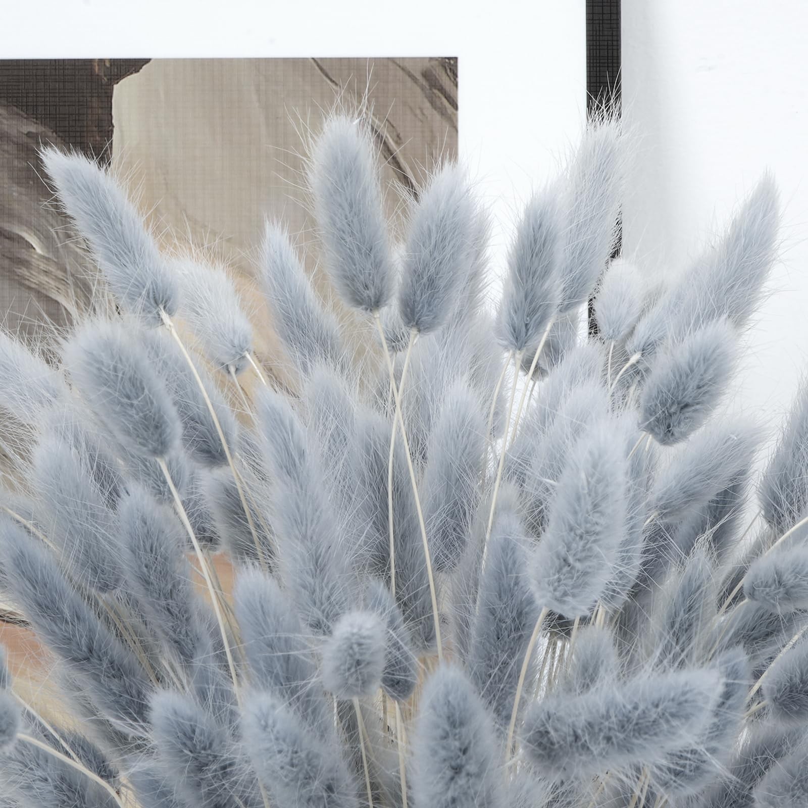 VirtuGro16IN 120pcs Blue Pampas Grass Bunny Tails Dried Flowers Rabbit Tails …