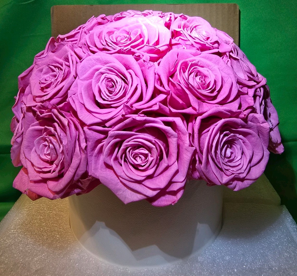 27 Preserved Pink Roses In White Vase, Preserved Flowers Dome Shaped