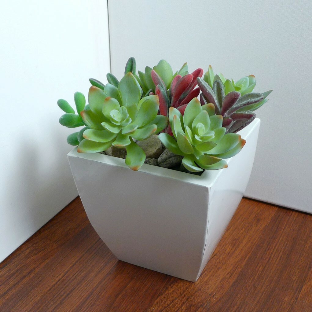 8 Pcs Artificial Plants Mini Succulents Grasses Home Garden Decoration (#101)