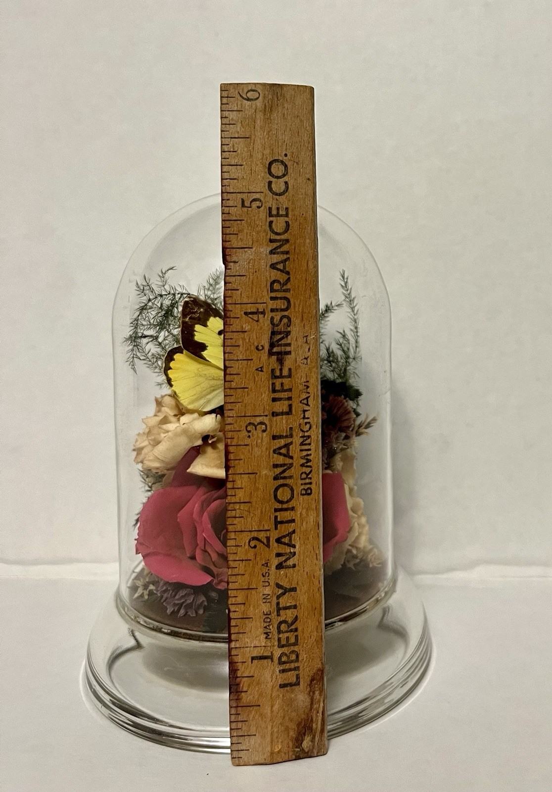 Vintage 90s Natural Expressions Dried Roses Butterfly Glass Terrarium Grannycore
