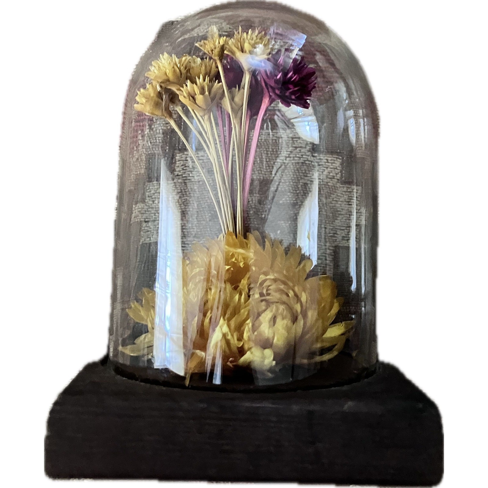 Vintage Leonard Creations Dried Flower Cloche • 1970s • 5” • Maker’s Sticker