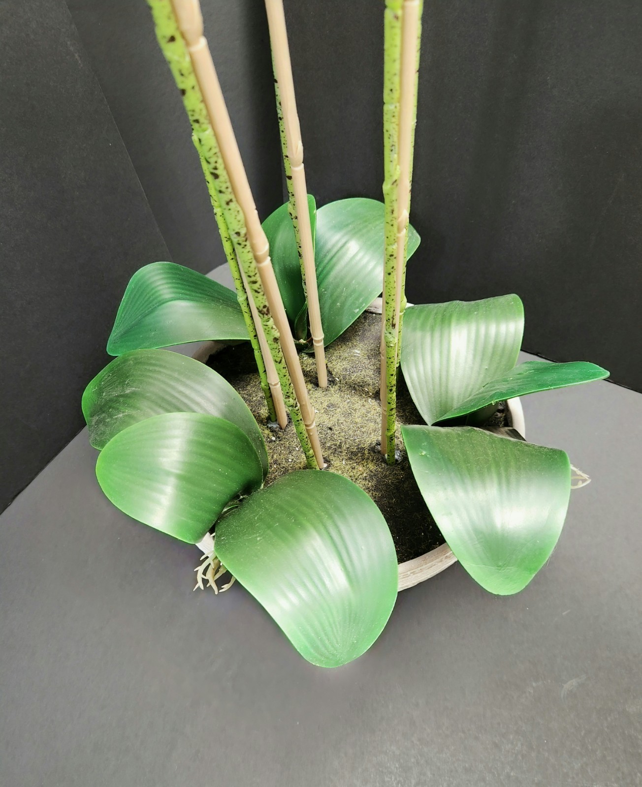 Allen + Roth Silk Artificial Orchid – New