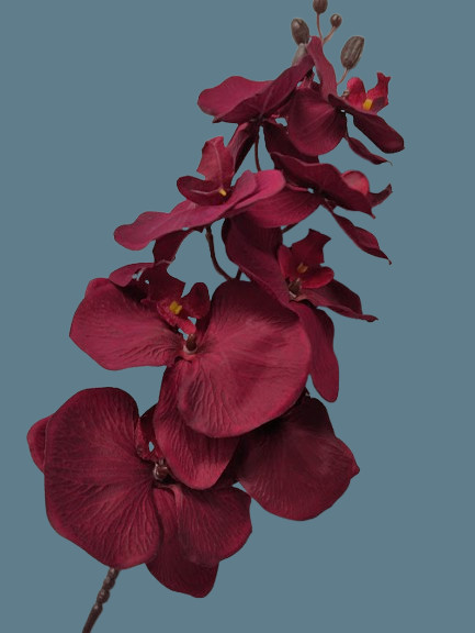 Artificial Phalaenopsis Orchid flower stem DEEP BURGUNDY