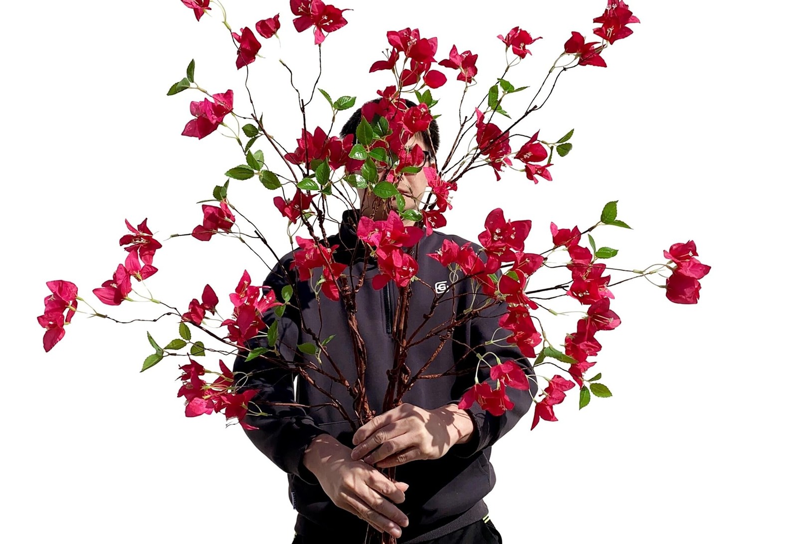 Artificial Bougainvillea Flower Branches Silk Bougainvillea Stems with Dried …