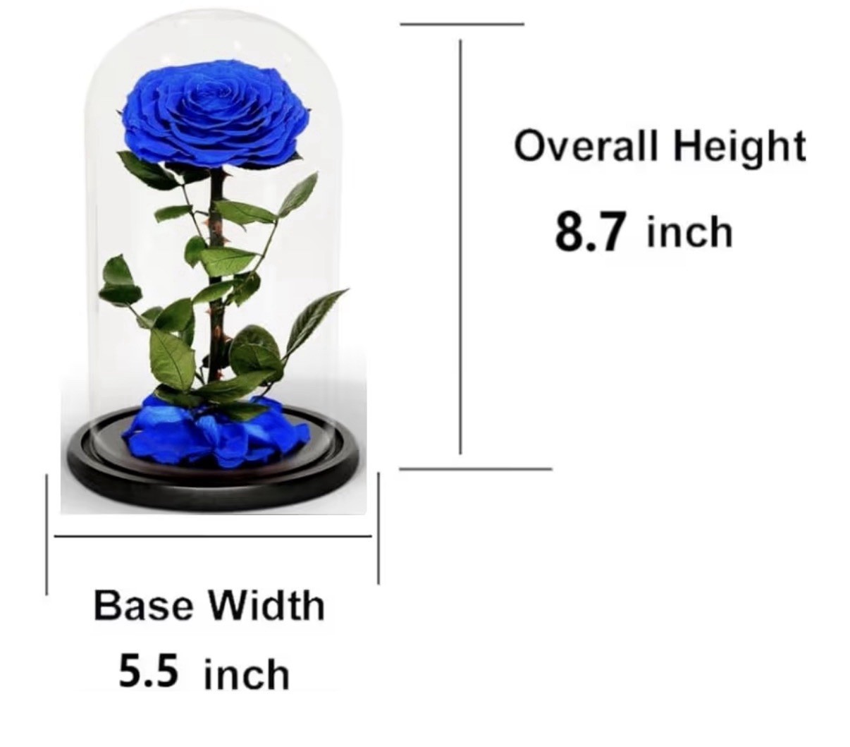 Haigivt Preserved Blue Rose Arrangement in Glass Dome 8.7″ x 5.5″ Floral Decor