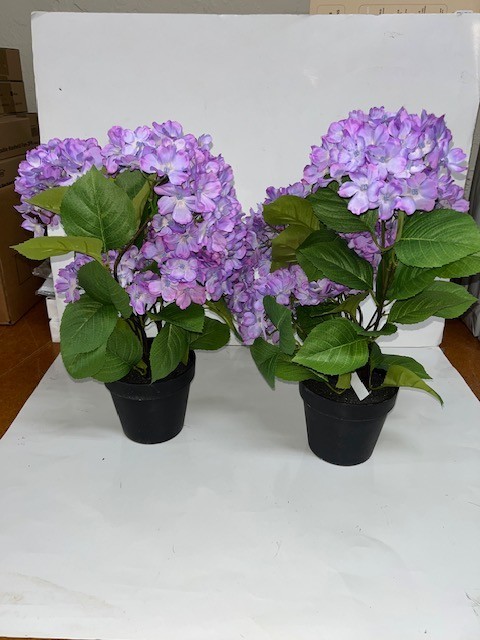 Set of 2 18″ Hydrangea Potted Plants by Valerie, variegated purple, New, (#243)