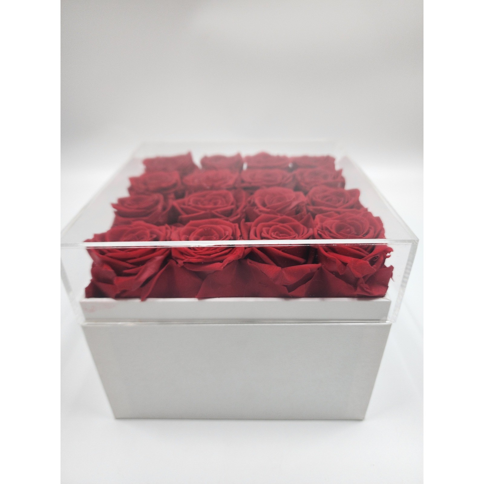 Eterfield Rose Preserved Red Roses in White Square Box with Acrylic Lid 16 Count