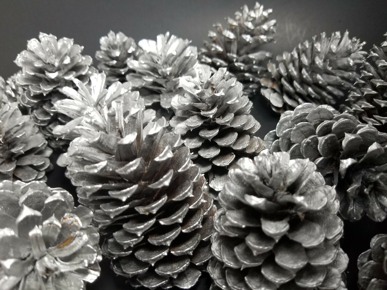 🎅15 Silver Pine Cones Hand Painted Natural Premium Ponderosa Cones