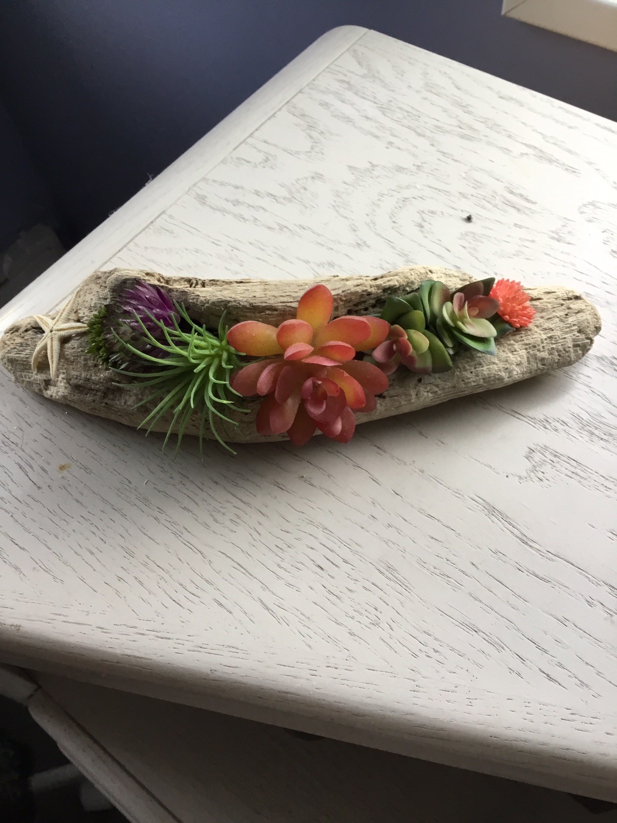 DRIFTWOOD FAUX SUCCULENT CENTREPIECE 2 ARRANGEMENTS – 8 & 10 Inches Long x 3Wide