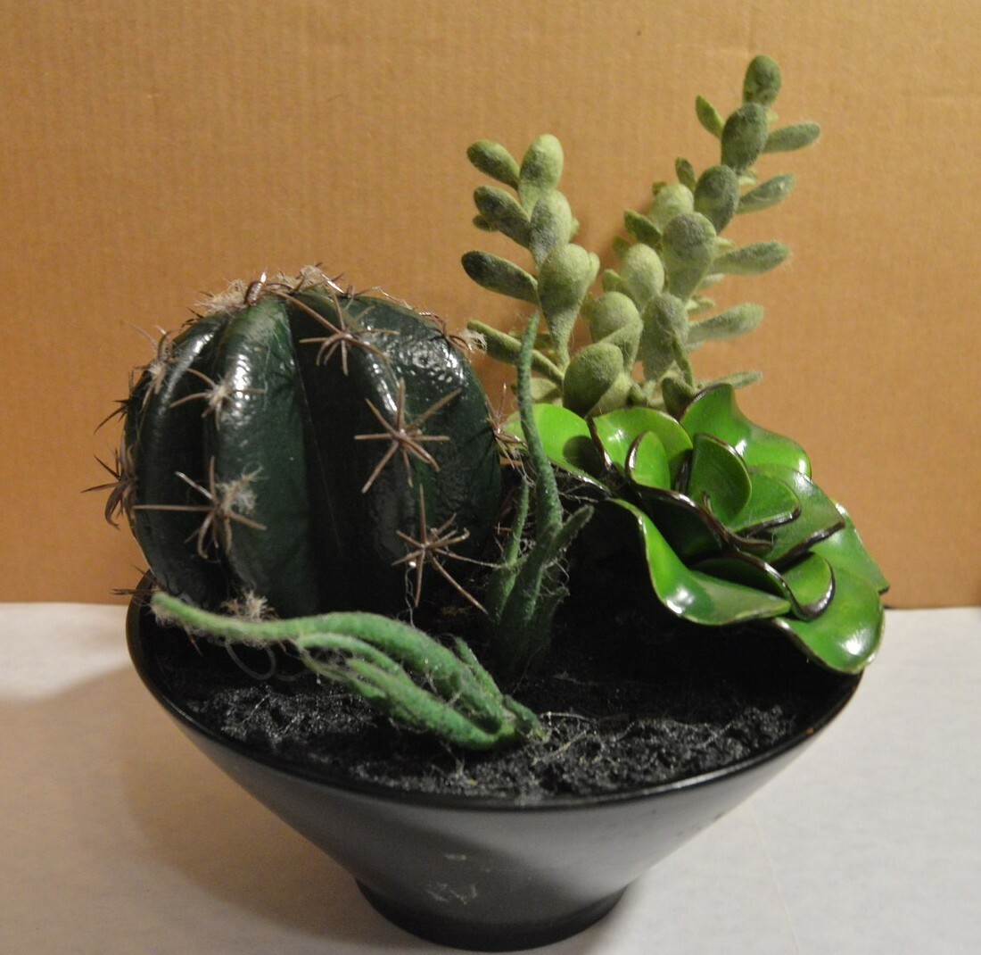 Sonoma Artificial Succulent Accents Greenery With Pot Home Décor ~9″ x 11″ x 8″