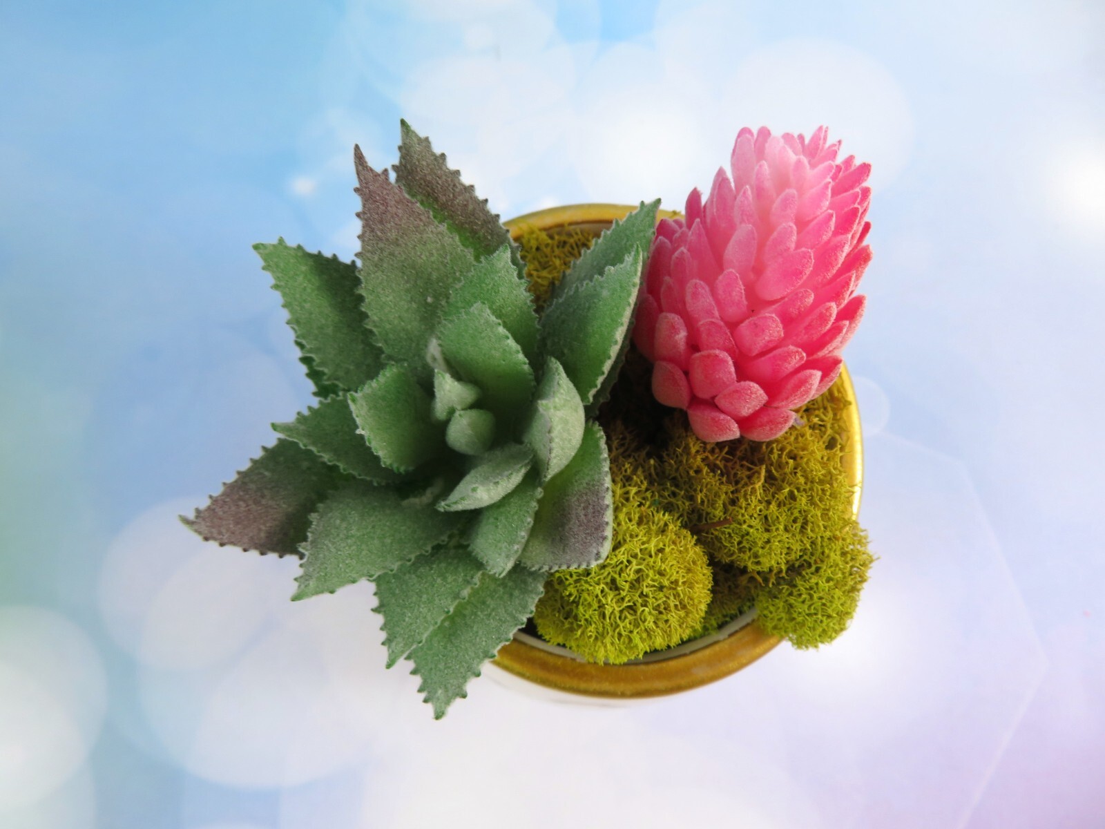 Mini Rainbows Ceramic Planter With Artificial Succulents 2.5 Inch Gold Rim New