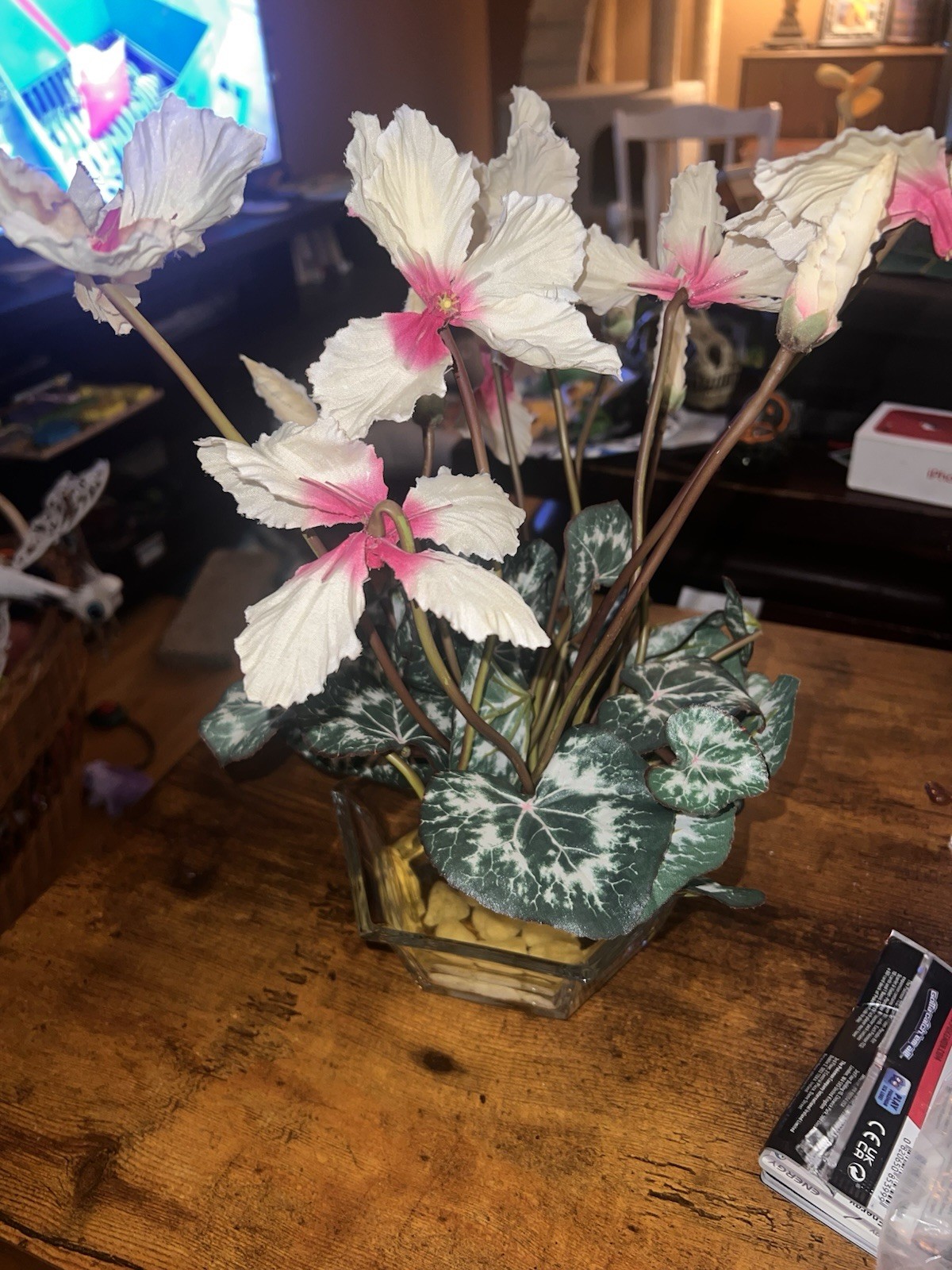 Artificial Cyclamen Persicum House Plant, Glass Dish w/ Water & Rocks