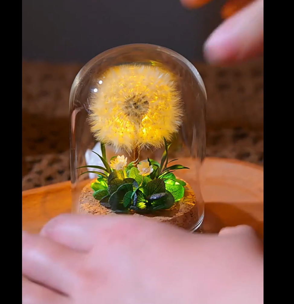 🌼 Eternal Dandelion Wish | Giant Preserved Natural Bloom✨🌿 Mother’s Day