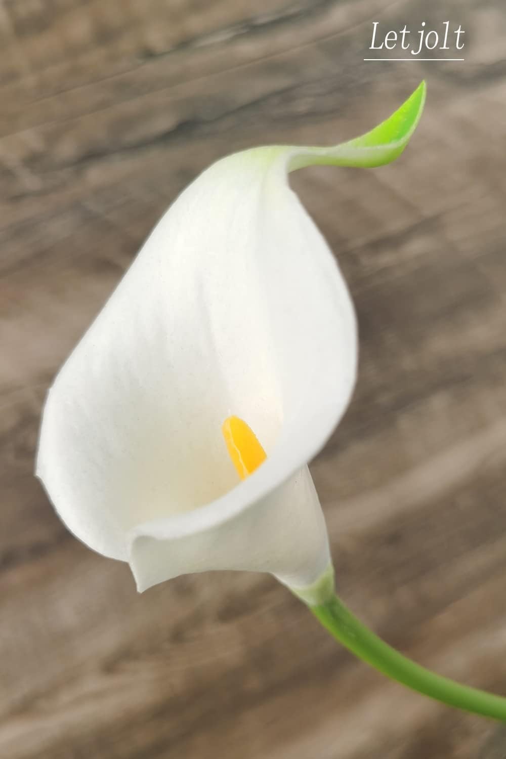 Artificial Calla Lily Flowers – 12 Stylish Bouquets for Every Occasion