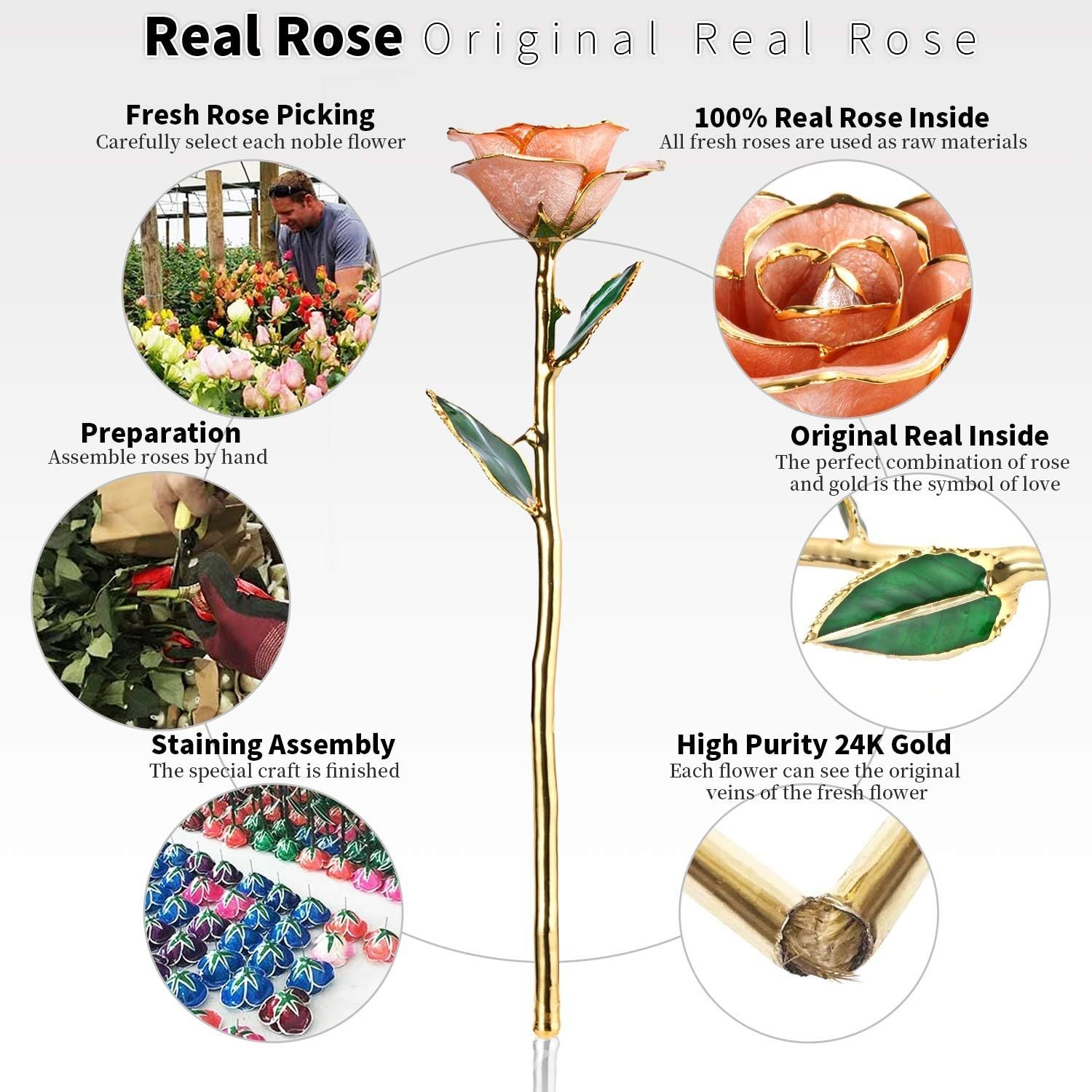 24K Gold Rose, Gold Dipped Rose Made from Real Rose Best Gifts for her and Gr…