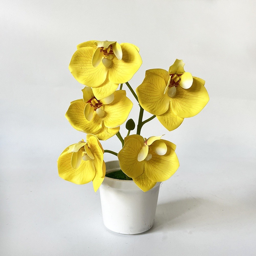 Artificial Orchid Flowers 5 Pcs 21cm Tall for Living Room Bedroom Office Decor