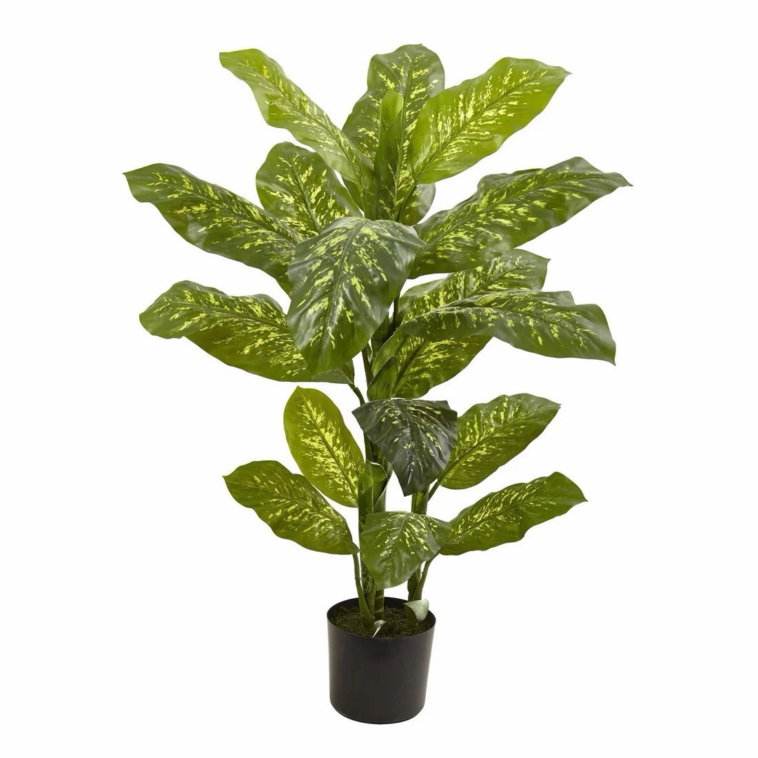4’ Artificial Dieffenbachia Potted Houseplant in Black Pot, Green/Yellow Decor