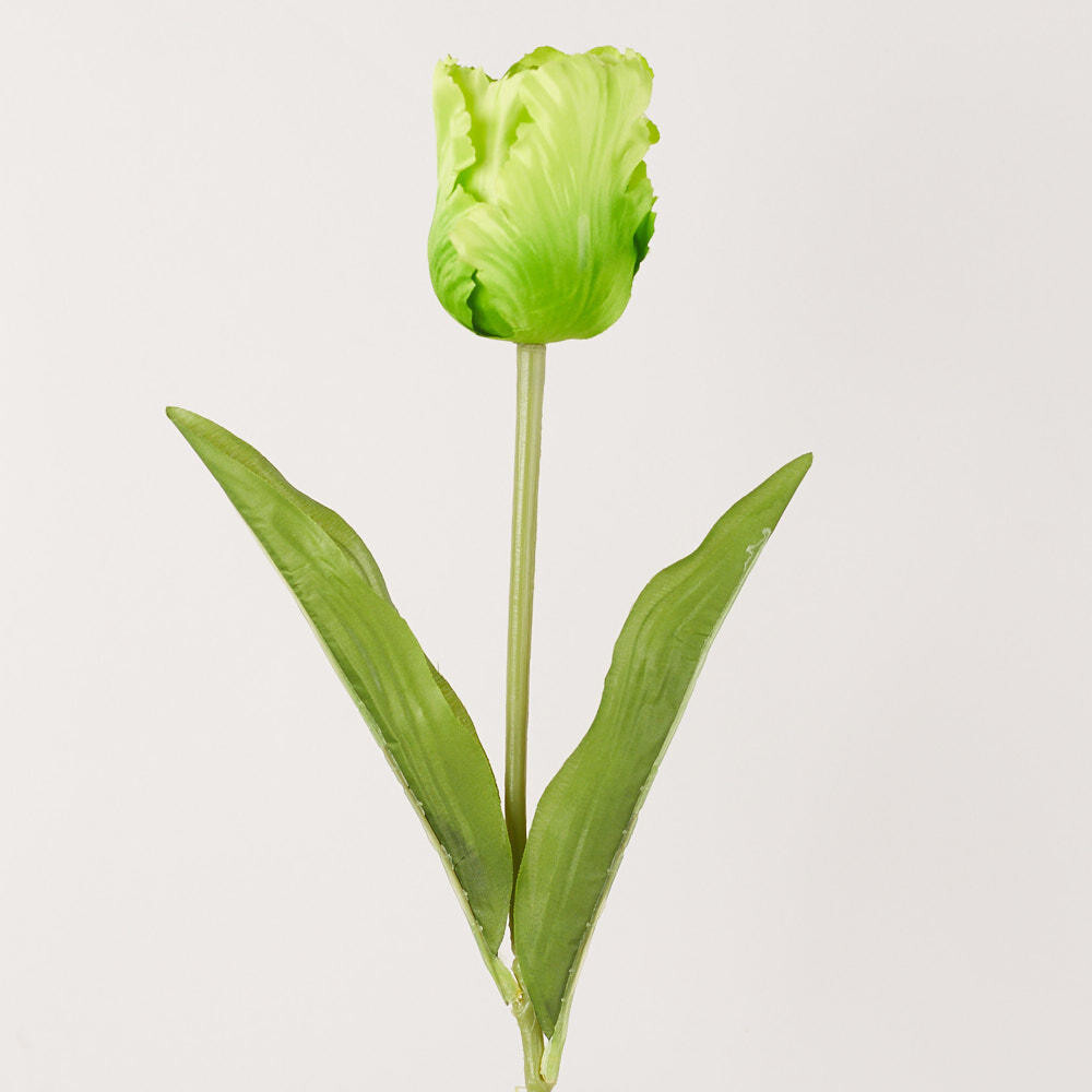 Package of 6 Realistic Spring Faux Light Green Parrot Tulip Stems