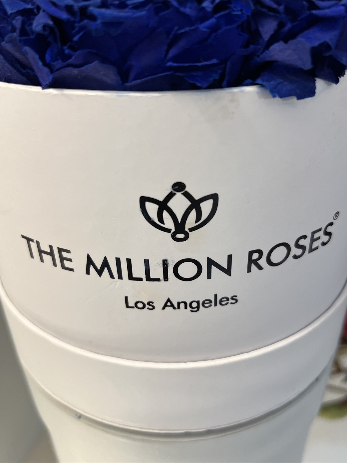 The Million Roses Los Angeles Luxury Preserved Royal Blue Roses – Bouquet Gift