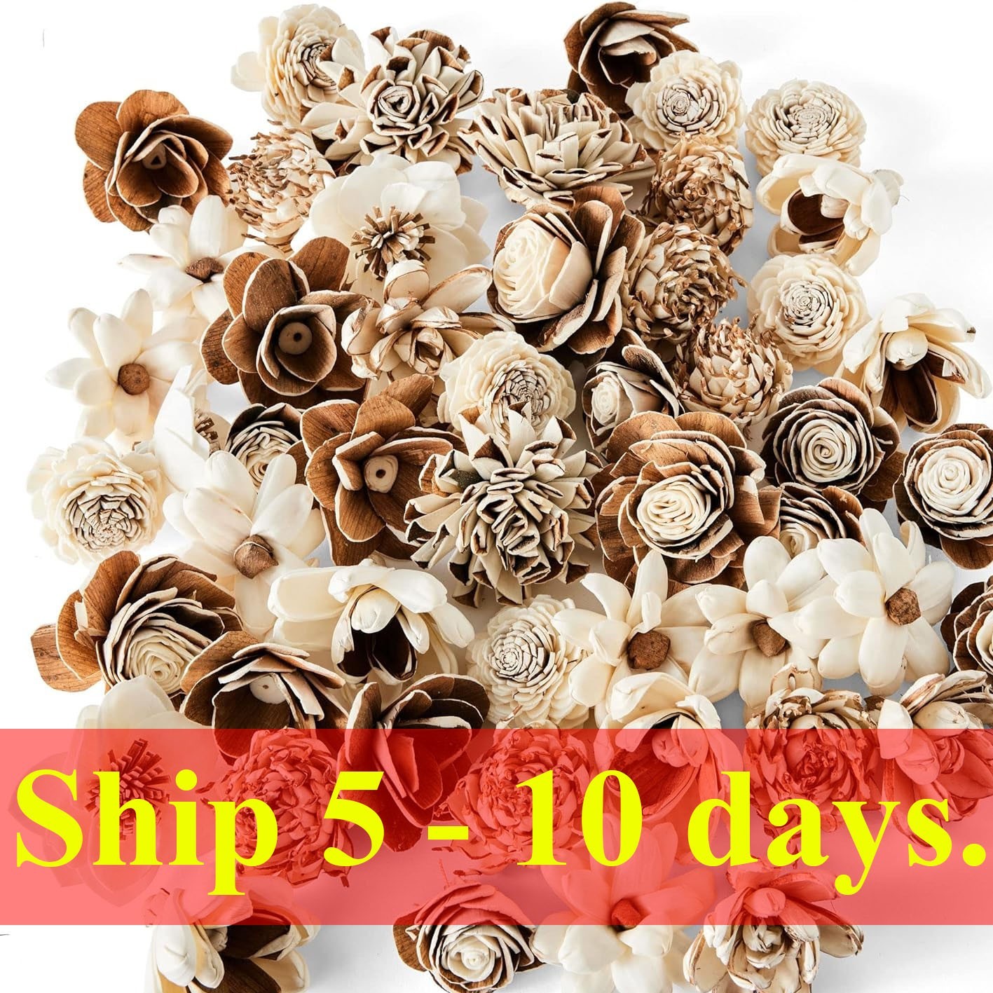 Sola Wood Flower Bark Assortment