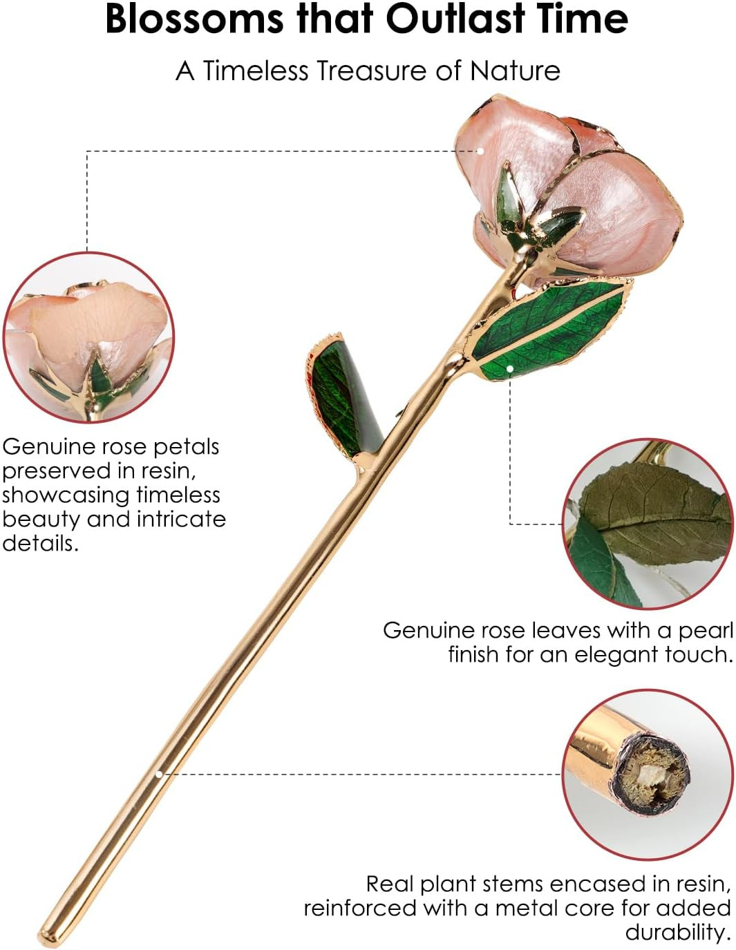 Gold Dipped Rose – Hand-Dipped Real 24K Gold Rose – Genuine One of a Kind – Eter
