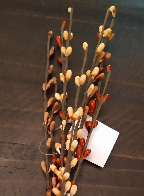 Pip Berry Pumpkin Spcie Mix 12″ Stem ~ Home Decor