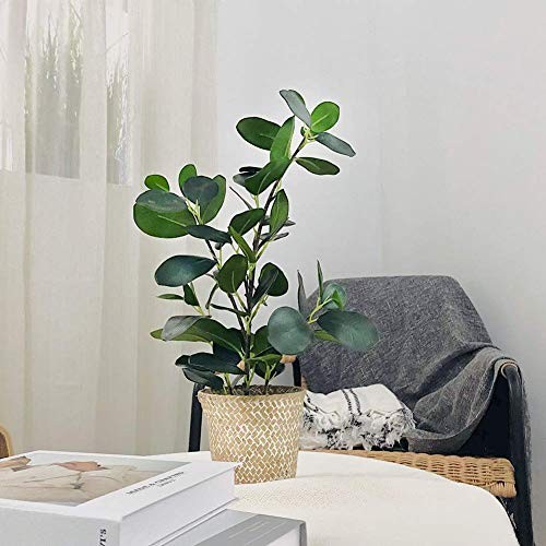 Artificial Ficus Tree Small Fake Plants in Weaved Pot 20″ Height for 1 Green