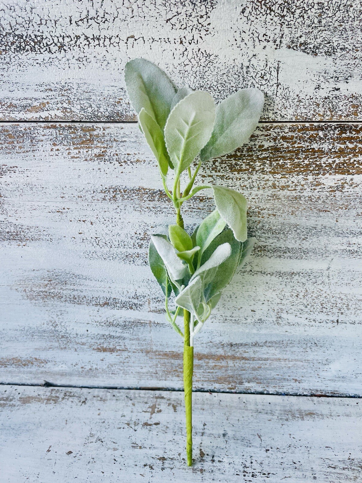Lamb’s Ear Pick, 13” Bundle Of 3