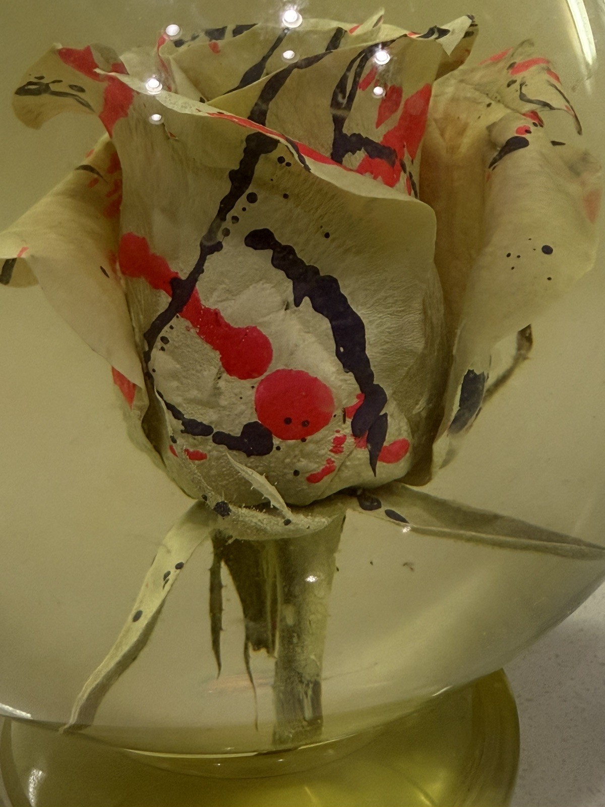 Multi-colored ROSE In Glass Ball Water Dome Globe Large 6”