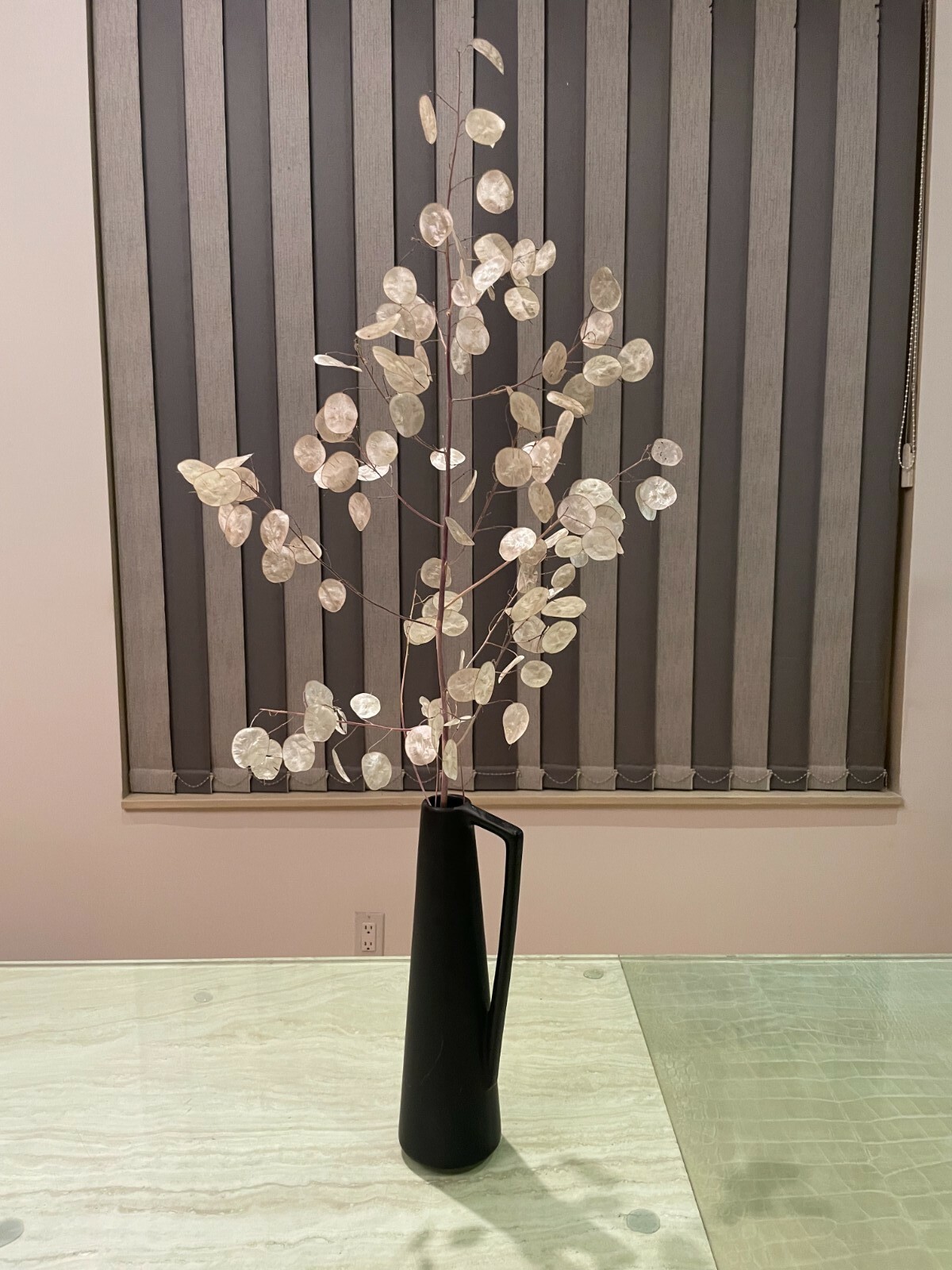 RARE DRIED LUNARIA MOONWORTH HONESTY SILVER DOLLAR PLANT WITH BLACK VASE
