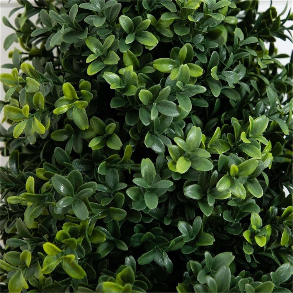 Pemberly Row 2.5ft UV Resistant Boxwood Plant with Integrated Stake (Set of 2)