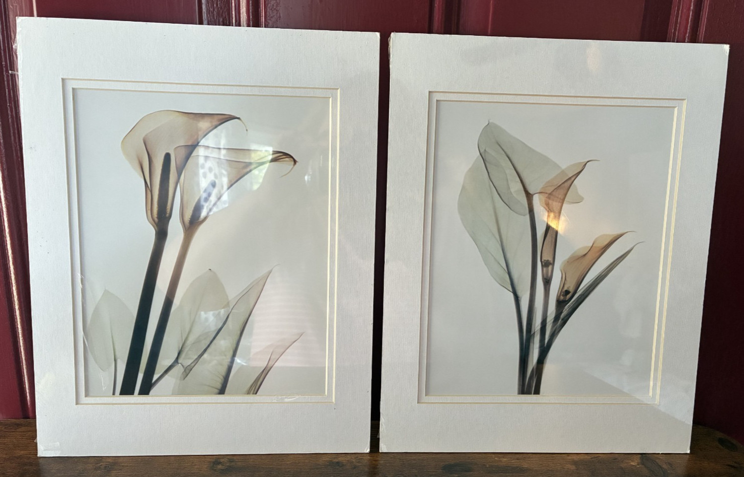 Set of 2 Calla Lily art prints
