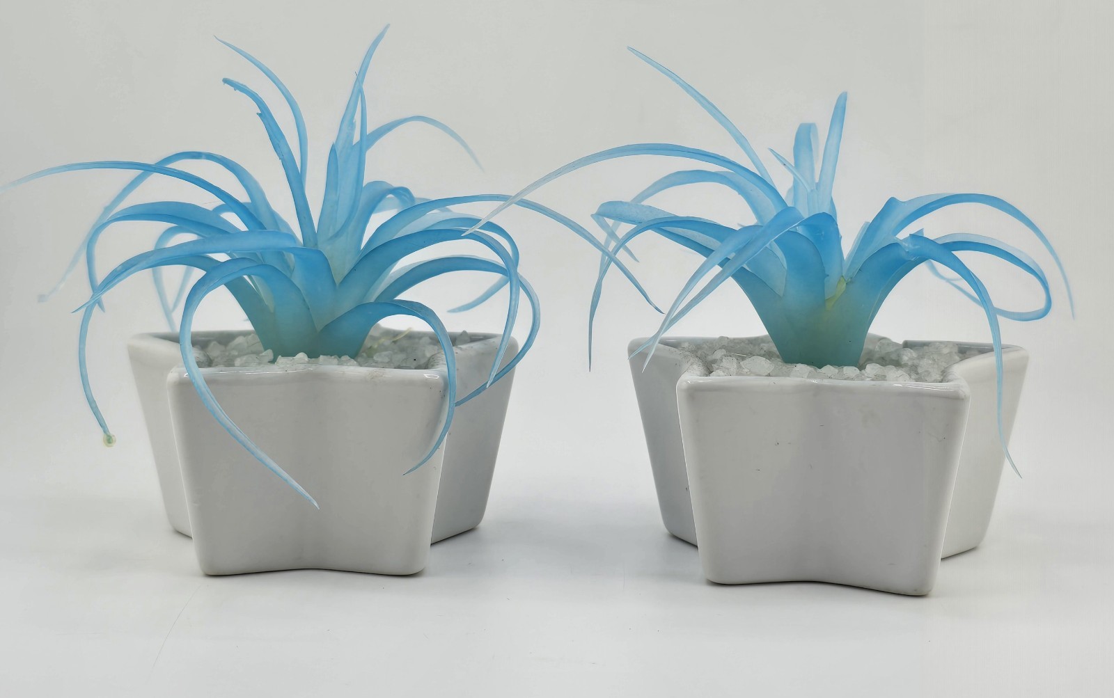 2 Faux Succulent Blue Tillandsia In Small Star Shaped Ceramic Pots 1 Damaged