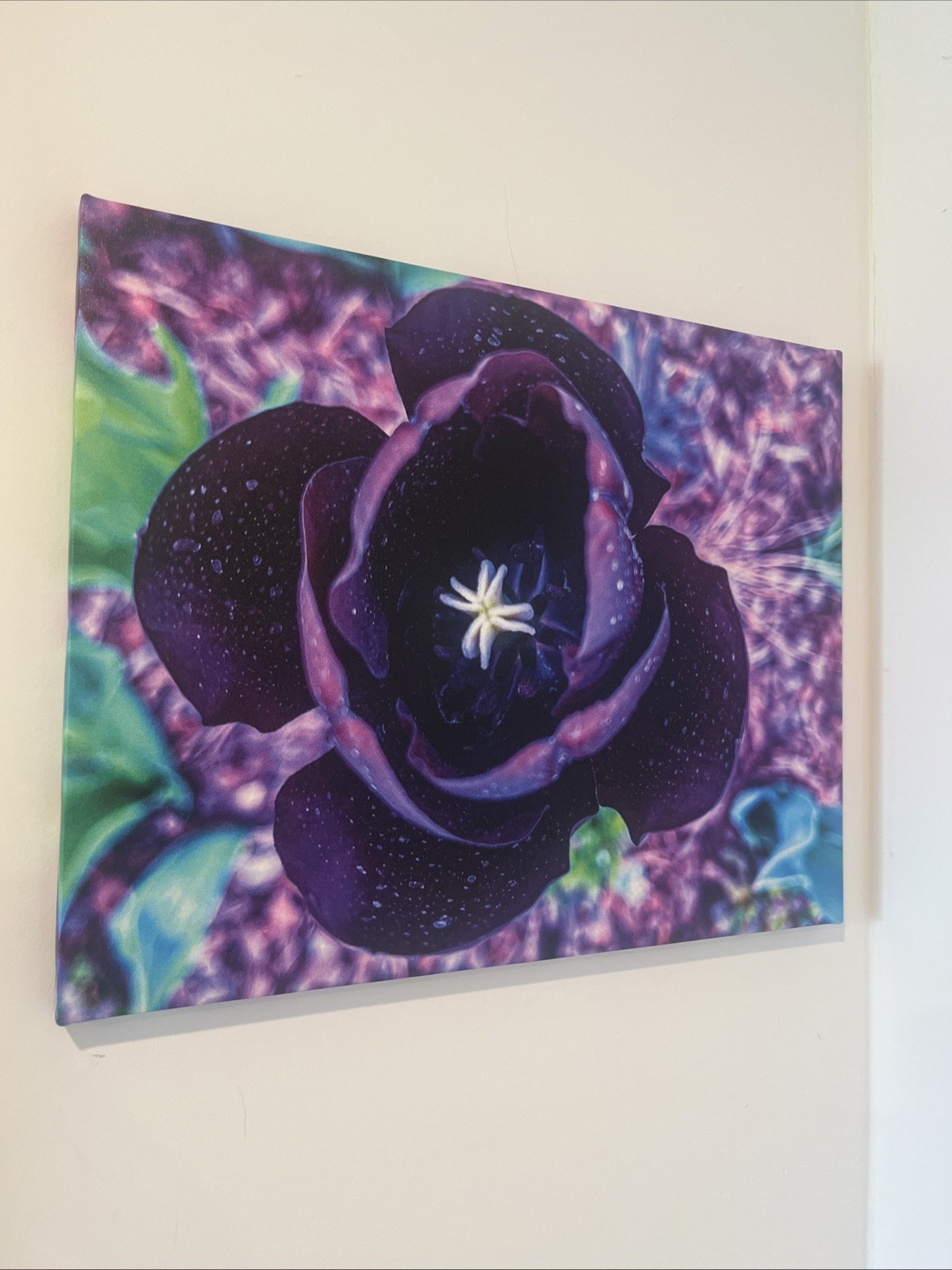 A Beautiful Purple Flower