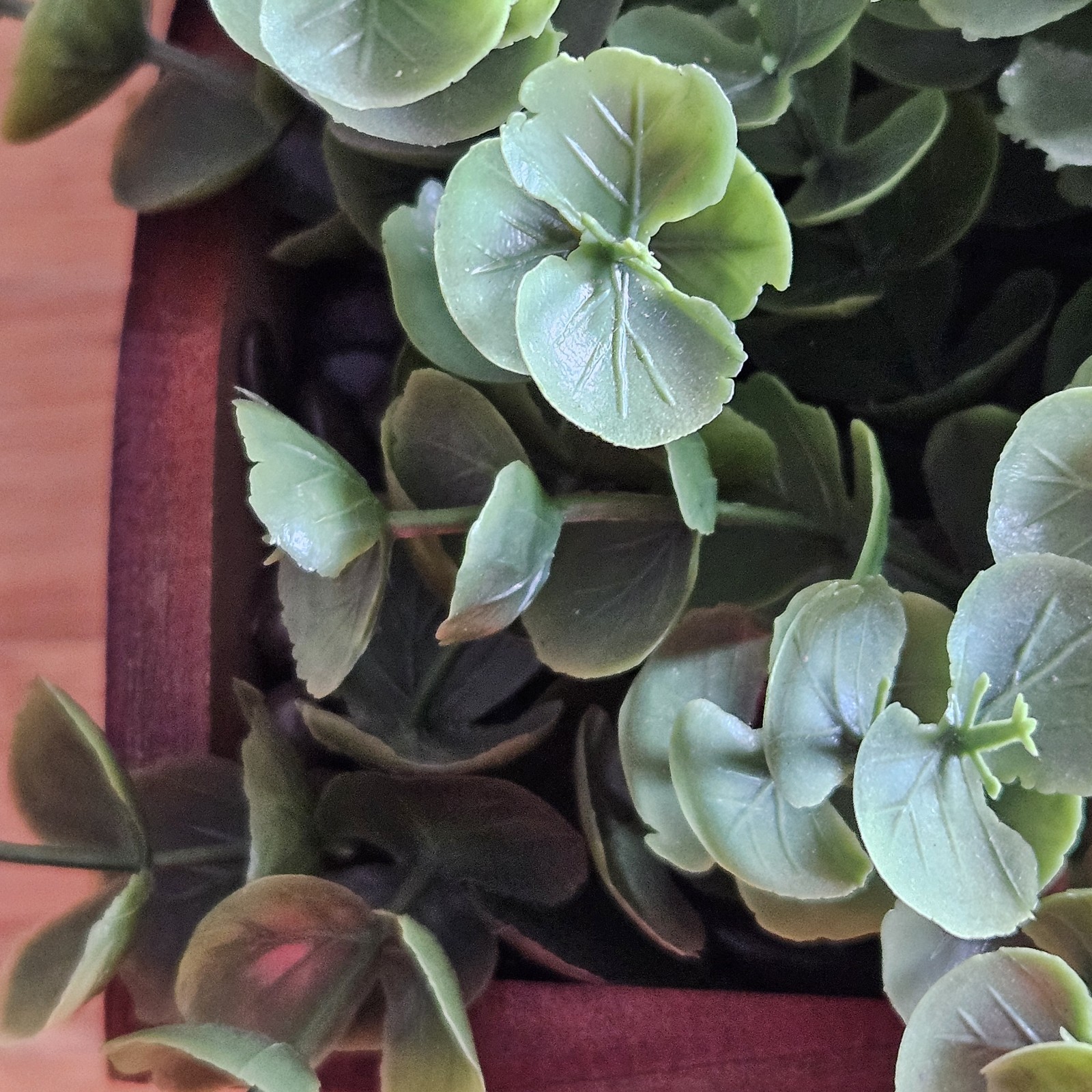 Faux Eucalyptus Boxwood with Cascading Leaves