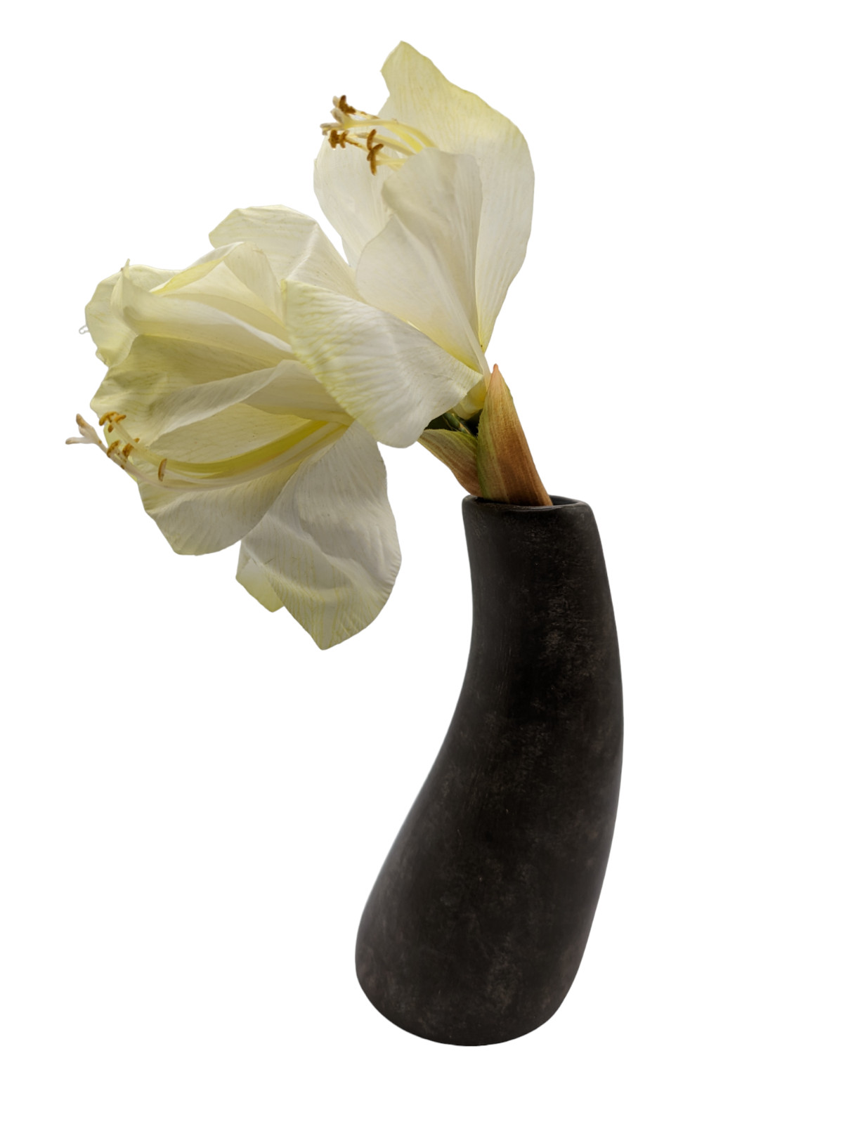 Rare Pier 1 Imports Ceramic Curved Potted Amaryllis Flower Home Decor 13 in