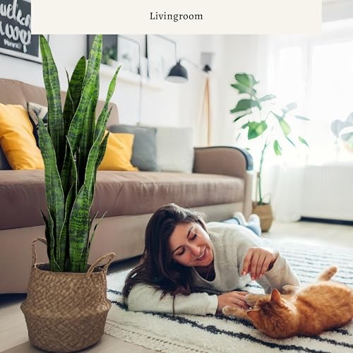 3ft Artificial Snake Plant, Fake Sansevieria Potted Plants, with 1-Pack Green