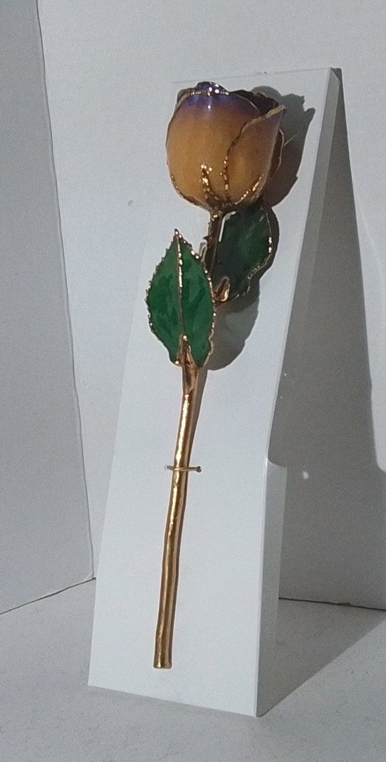 Real Rose Preserved In 24K Gold – Yellow w/Violet Tip