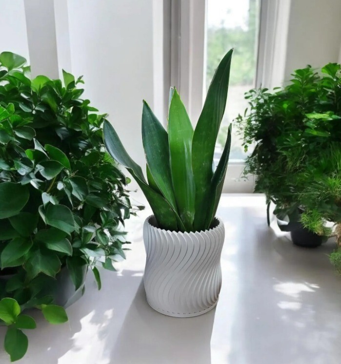 Modern Minimalist Indoor Flower Pot