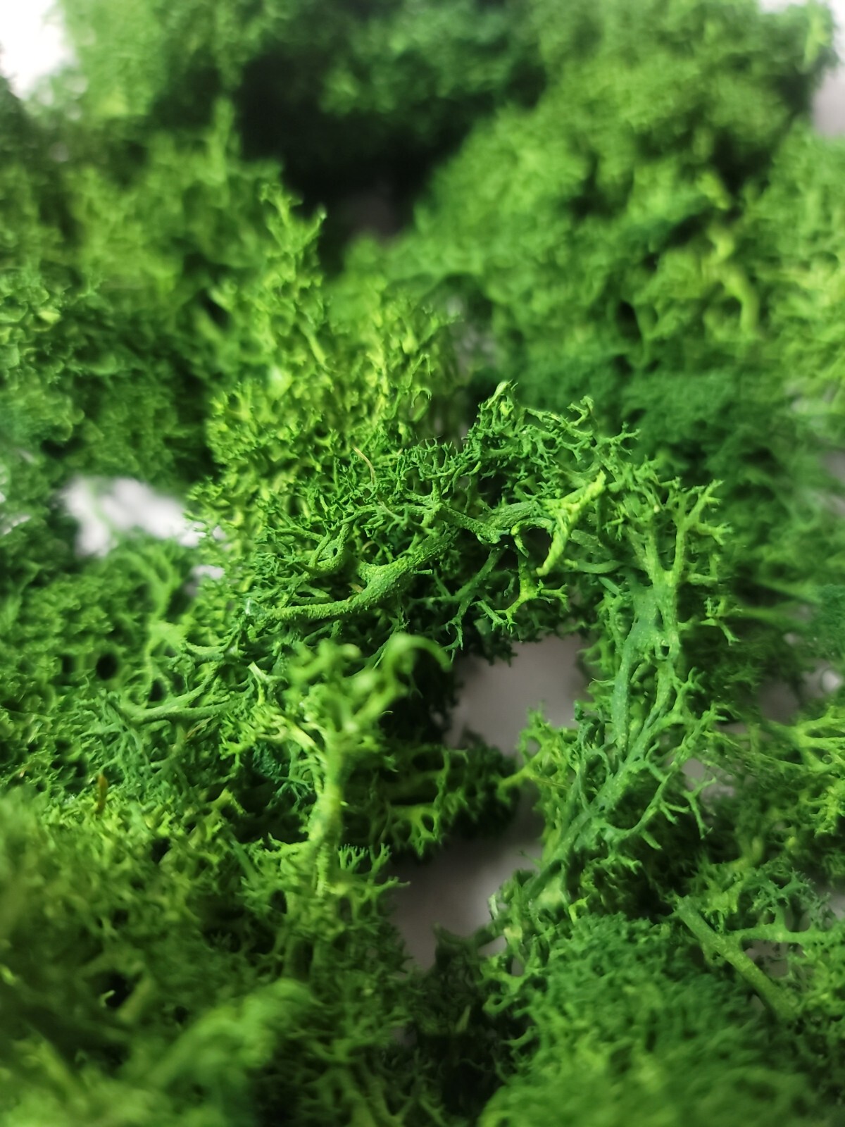 Artificial Moss Fake Green Grass Centerpieces Home Kitchen Garden Decor Fresh