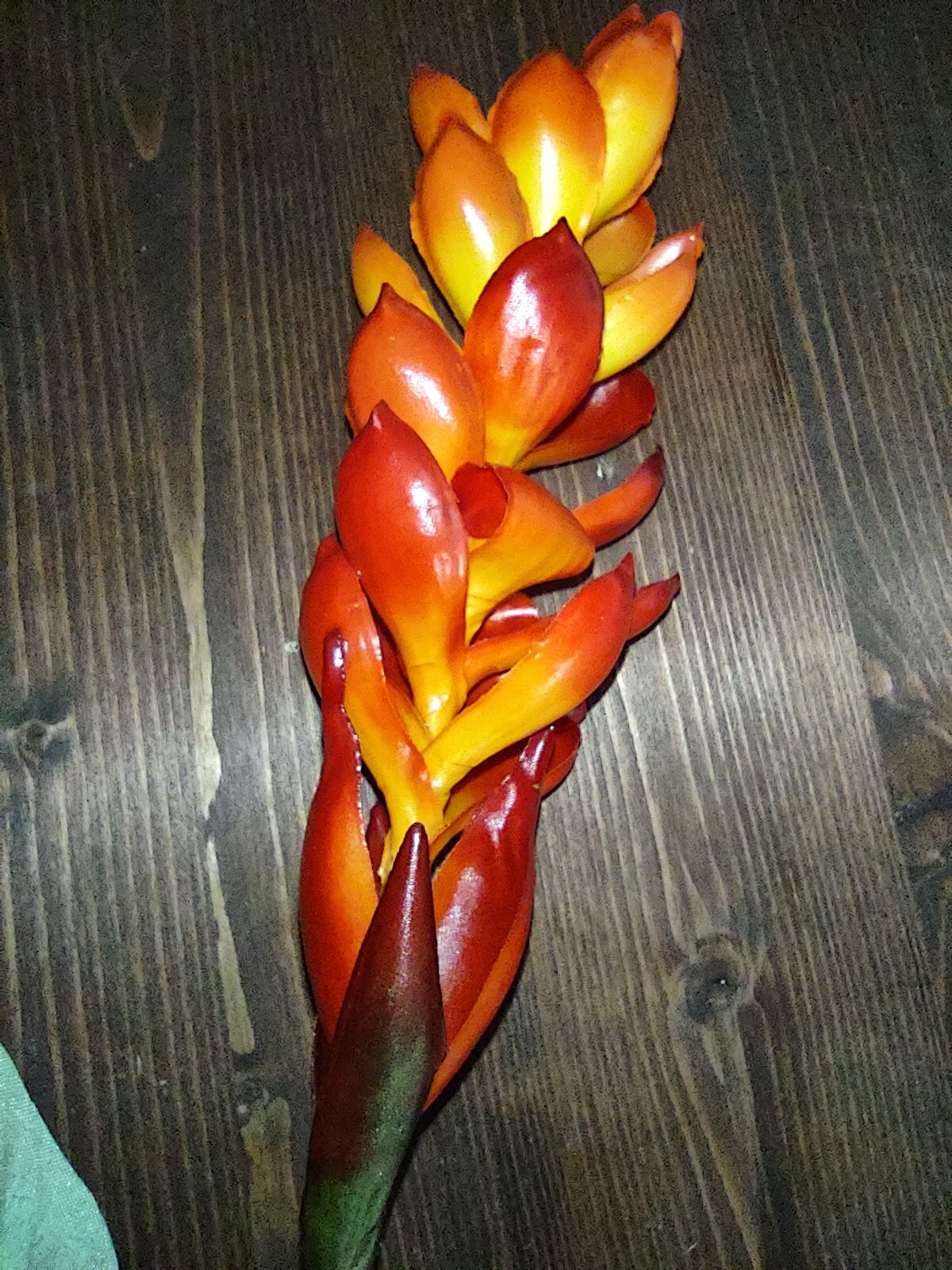 Ginger lily stem. Silk arrangements tropical Hawaiian flowers ORANGE