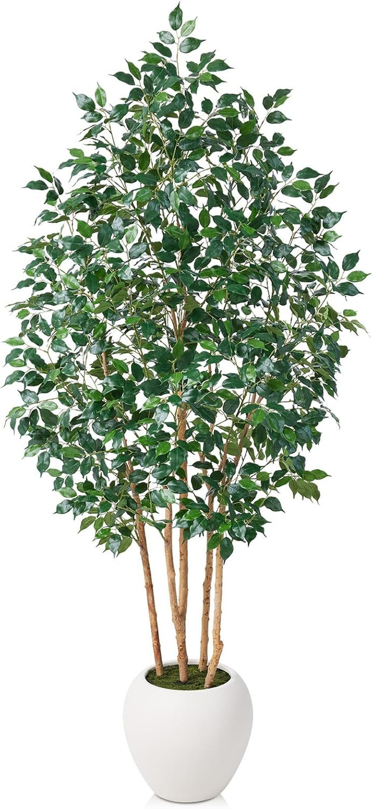7Ft Ficus Tree – Realistic Faux Plant with White Planter for Home & Office Decor