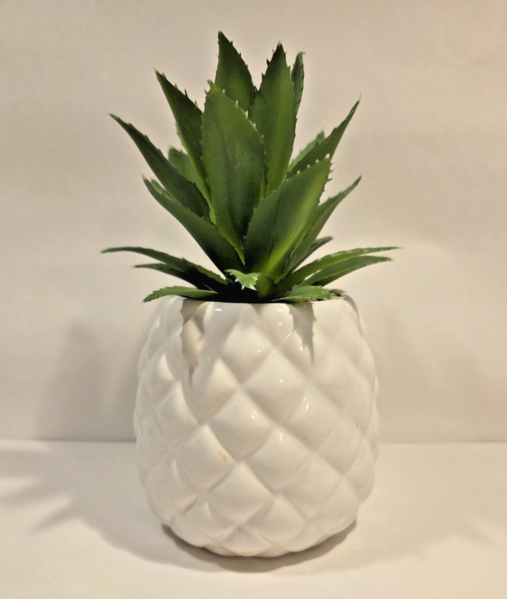 White Pineapple By Real Living Decorative Succulent Home Decor Faux Plant. New