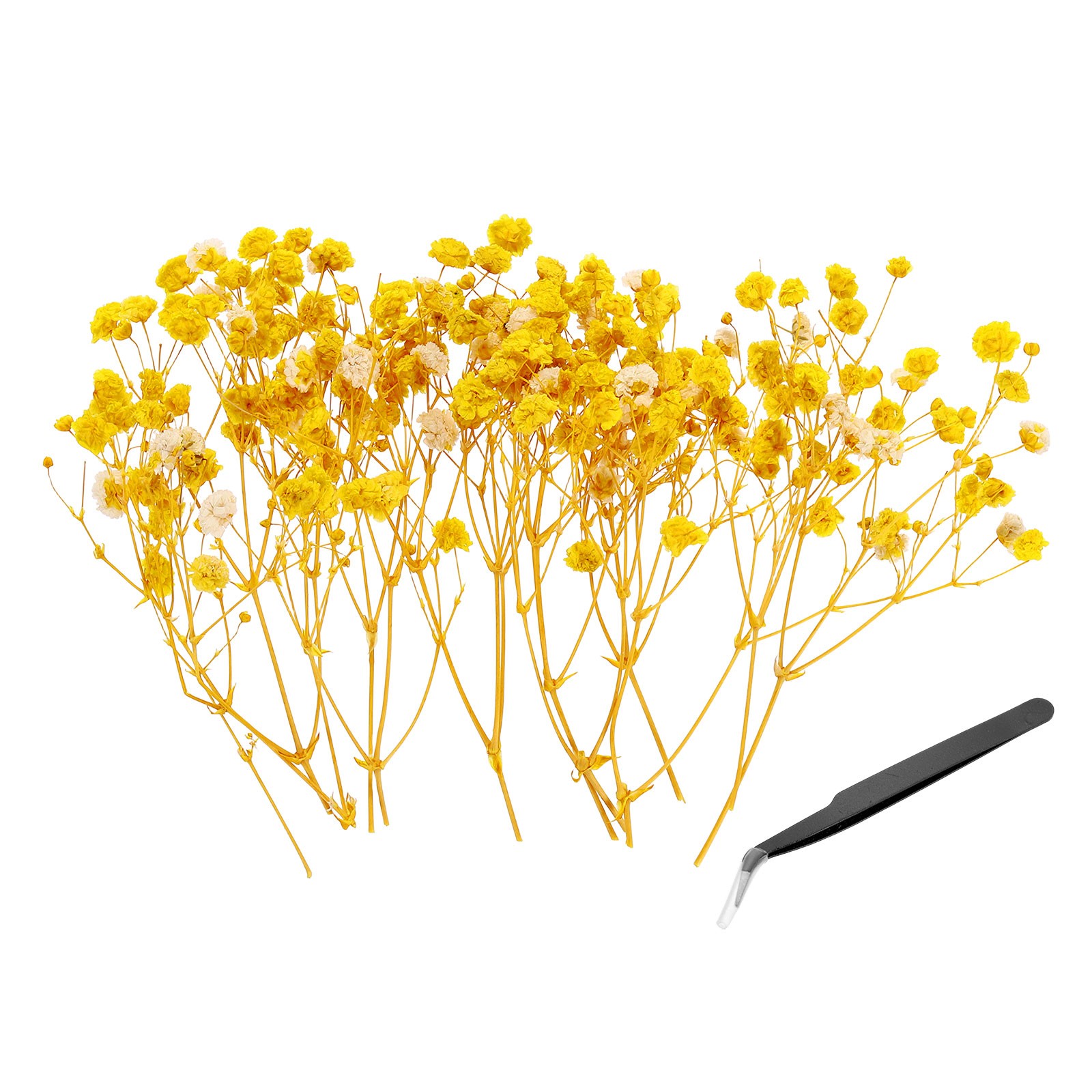 30 Pcs 4″ Dried Gypsophila Flower Yellow Pressed Flowers w Tweezer for DIY