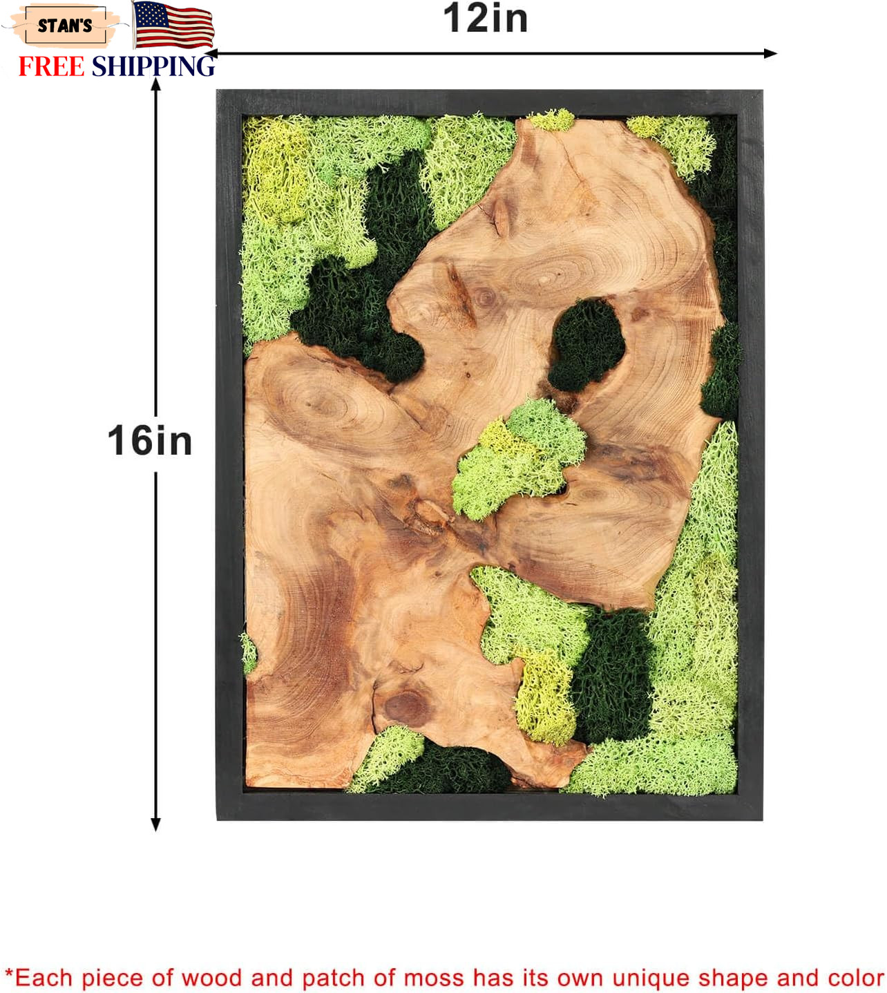 Rustic Natural Moss Wall Art Handcrafted Decor for Any Room No Maintenance NEW