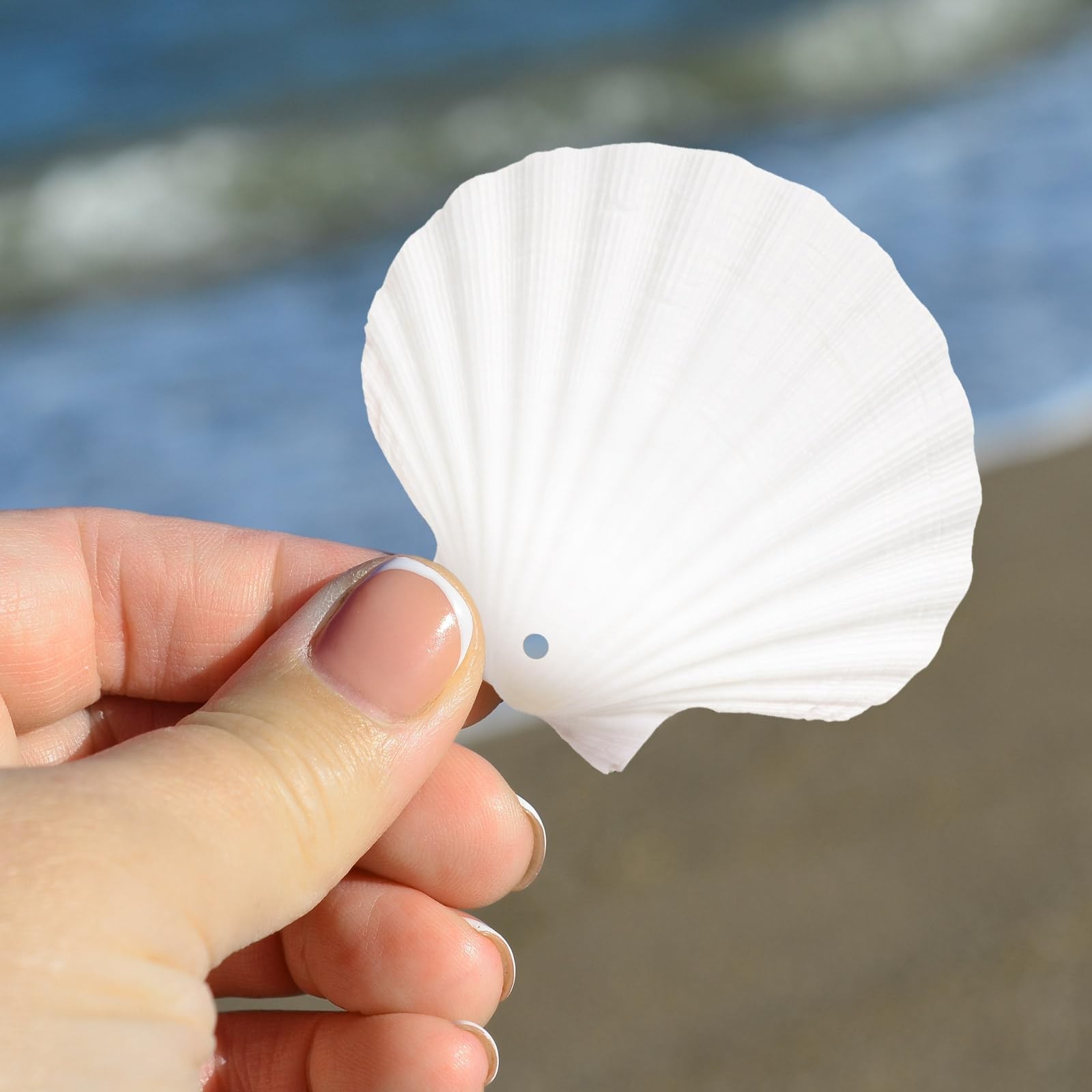 24 PCS 23 Inch Natural White Scallop Shells With Rope For Christmas Crafts