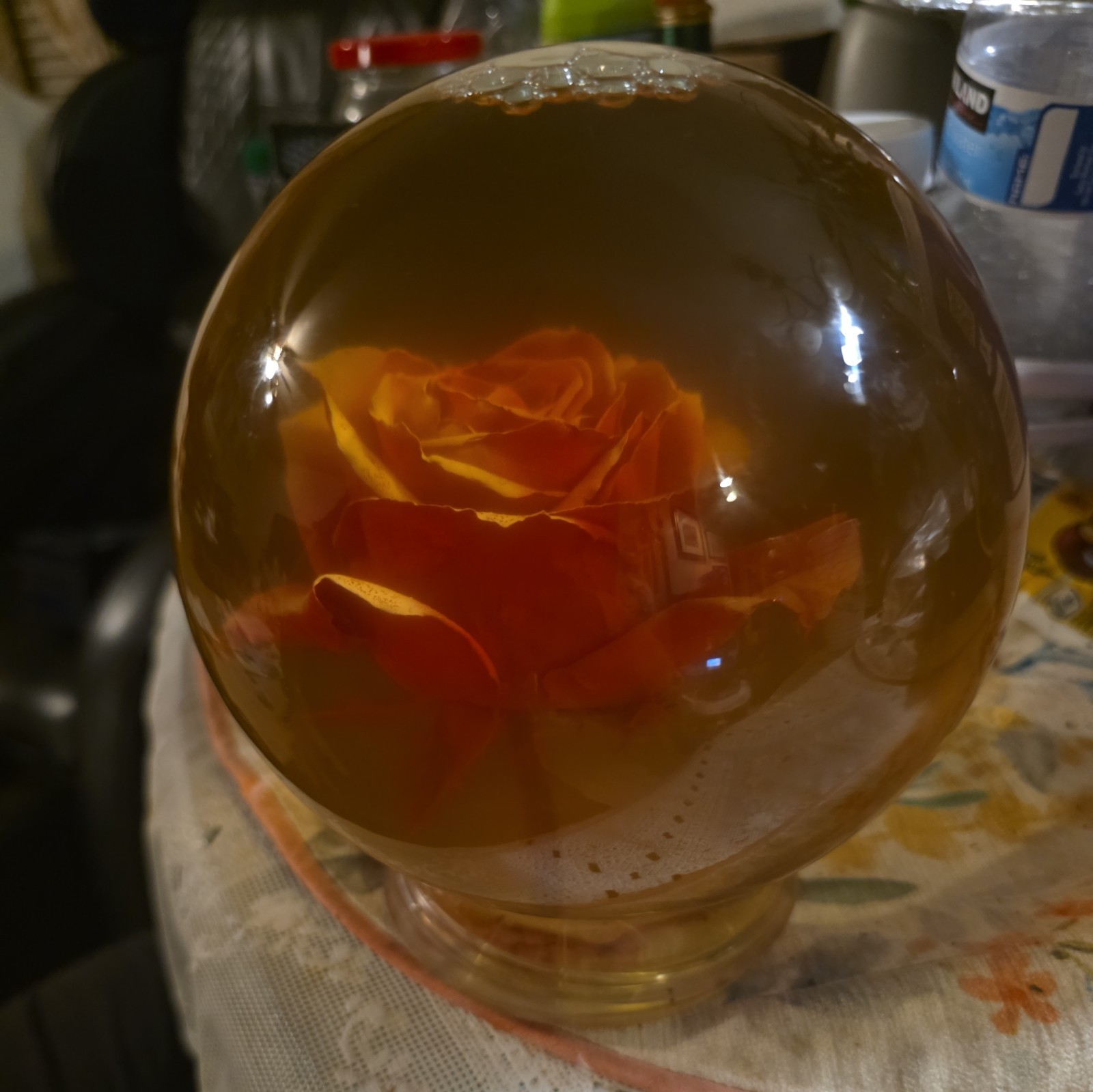 Vtg Forever Red ROSE In Glass Ball Water Dome Globe Large Real Rose 6×6 in.