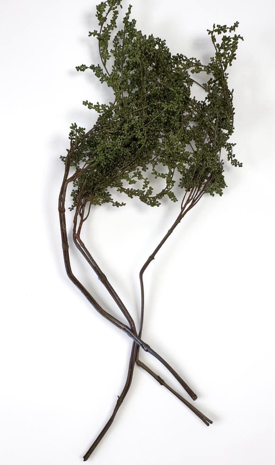 Threshold Set 3 Faux Trailing Green Stems 28″ Greenery String of Pearls Branches